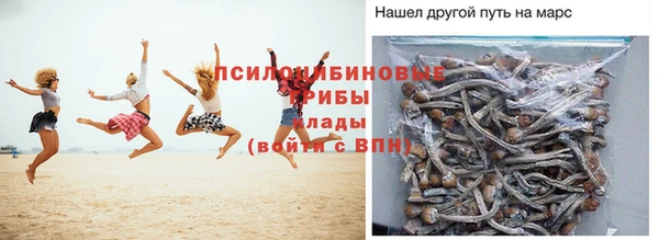 индика Аркадак