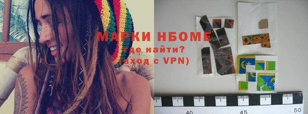 индика Аркадак