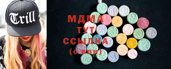 индика Аркадак