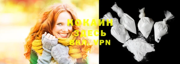 индика Аркадак