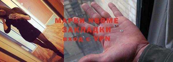 индика Аркадак