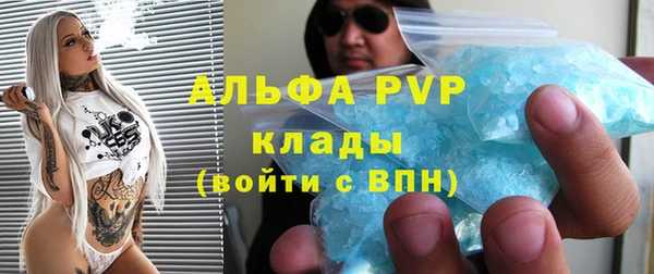 индика Аркадак