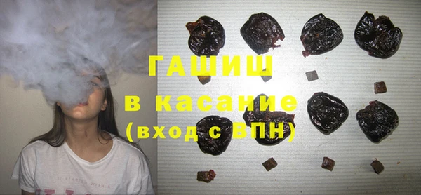 индика Аркадак