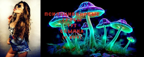 дживик Арсеньев