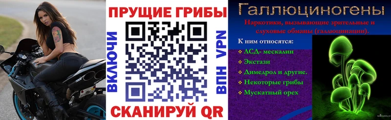 Псилоцибиновые грибы мицелий  Бакал 