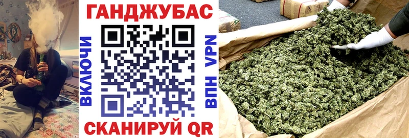 Марихуана гибрид  Бакал 